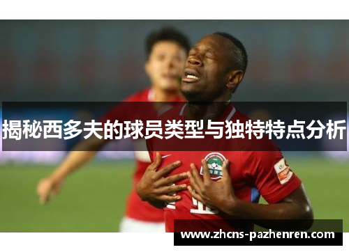 揭秘西多夫的球员类型与独特特点分析