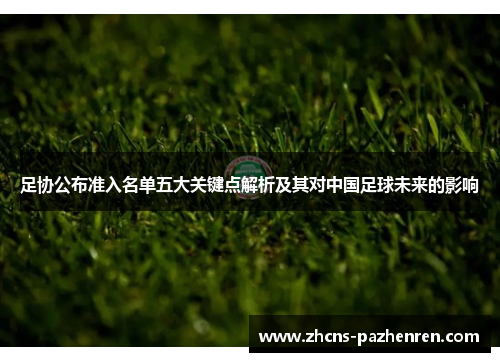 足协公布准入名单五大关键点解析及其对中国足球未来的影响